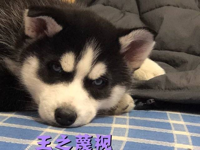 吃药了乖乖睡觉，各种睡姿，感冒快快好起来。麻麻抱抱。