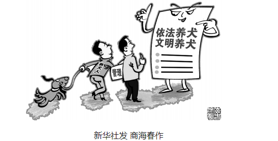 夜跑被狗绳绊倒，双方责任如何担