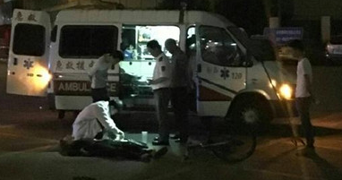 老人不幸骑车身亡 收养流浪犬不离不弃