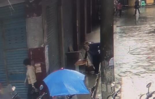 “在渠县当街打死金毛犬”事件调查：社区寻主人未果按流浪狗处理、狗主人发声