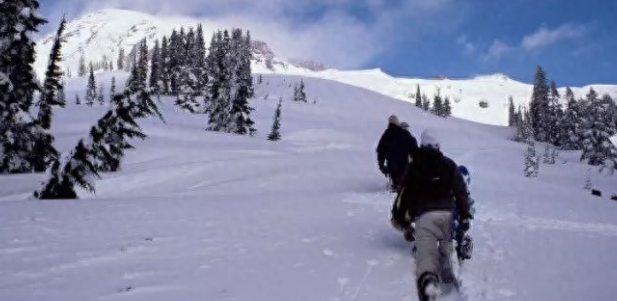 网友登山途中遇到一只黑汪，本以为是流浪狗可没想到..