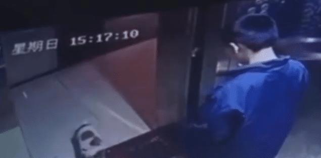 男孩利用电梯吊死宠物狗，引起众怒，家长却责怪物业曝光视频