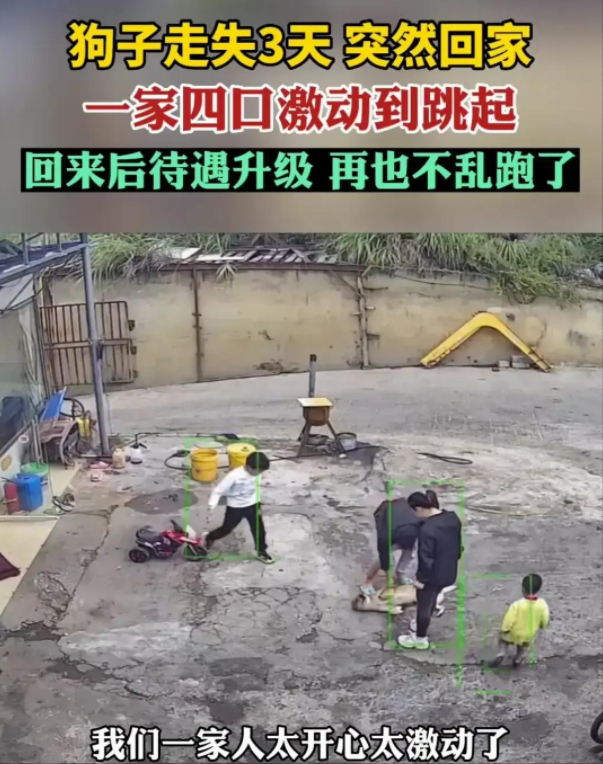 狗子走失3天，主人一家4口激动跳起来！所以趁它在的时候，请善待