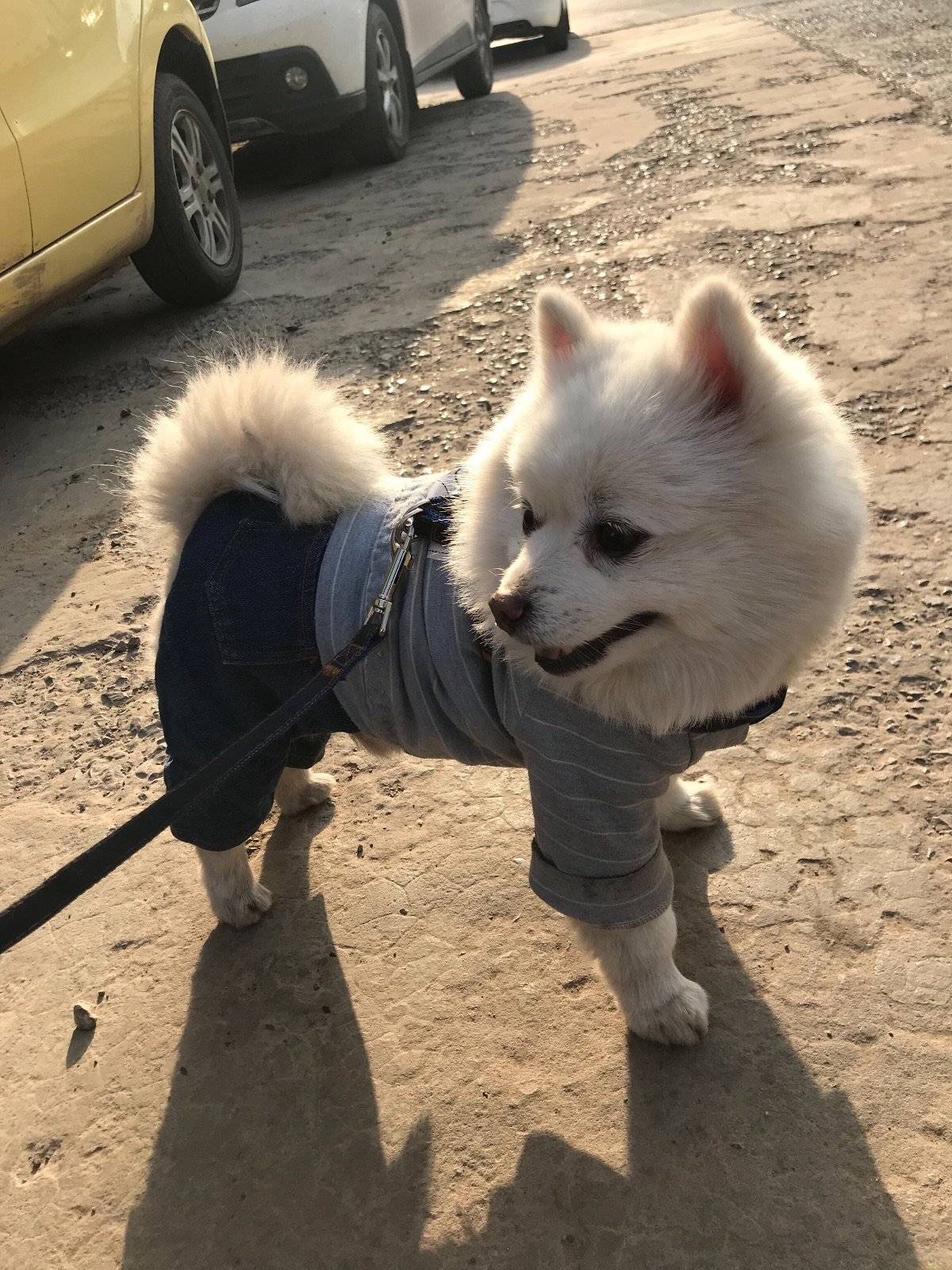 多多君 拍你个正脸怎么就那么难呢？ 从来不给正脸