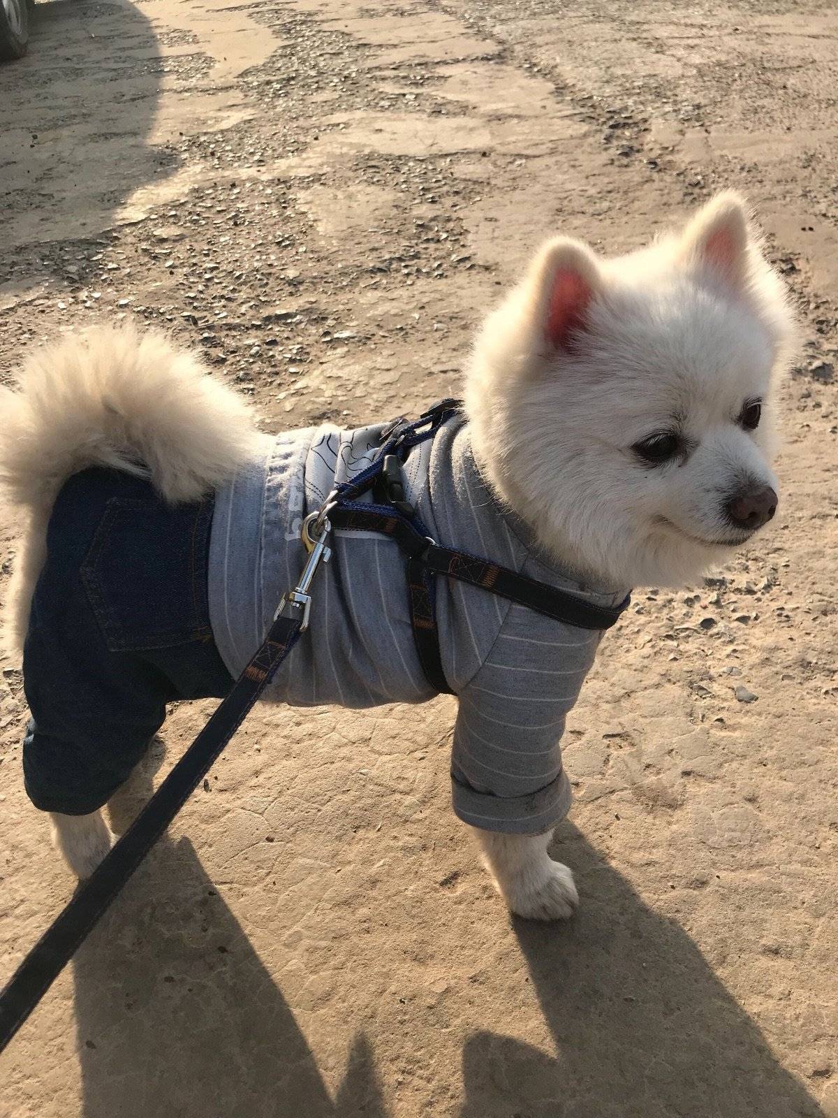 多多君 拍你个正脸怎么就那么难呢？ 从来不给正脸
