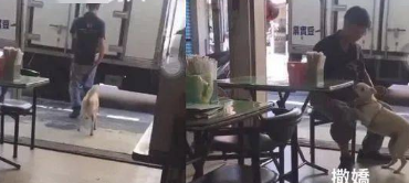 小狗备受全家人的疼惜，但它最喜欢的却并不是家人….只是……