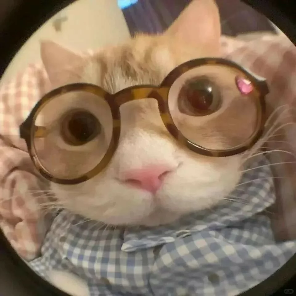 猫咪呕吐不要慌！宠医手把手教你从呕吐物颜色判断猫咪情况