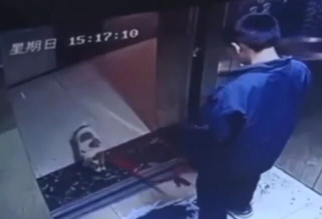 “男孩偷走宠物狗用电梯夹死”后续，多个细节曝光，家长再惹众怒