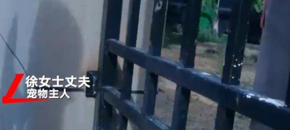 寻狗送北京房产？打印店印错，能成为不兑现的借口？