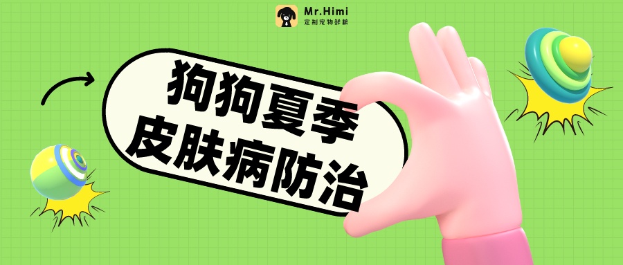 警惕！狗狗夏天容易得的皮肤病，铲屎官一定要注意防治！