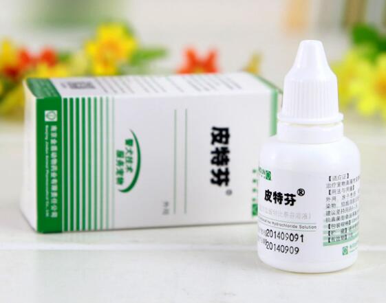 宠物医院不会告诉你，家中常备这些药，狗狗再也不怕生病了