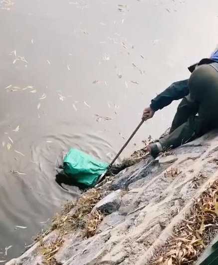 泰迪不小心掉进水里，大爷不顾危险出手相救，狗狗知恩图报