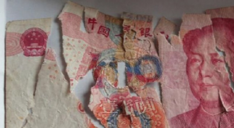 狗狗咬碎百元钞票 汪星人：谁让你不给我买肉吃