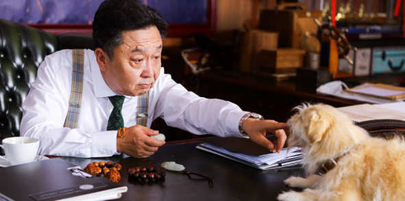 宠物电影《狗果定理》正式上映，你去看了吗？