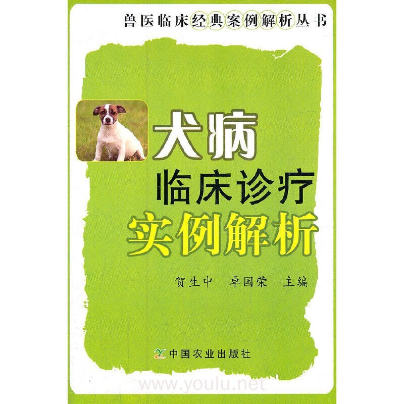 一例犬吸入性肺炎病例的解析与治疗，附 9 大护理要点