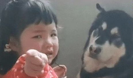 小主人被揍，小主人找狗狗帮助，狗狗看过女主角一眼表明：束手无策