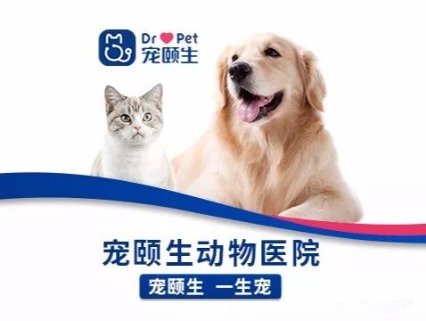 get_img-121