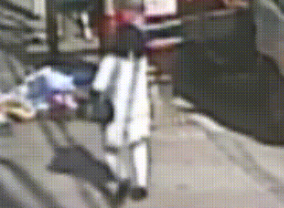 七岁贵宾犬被陌生人抱走,被找到后竟变成这样,主人不忍哭成泪人