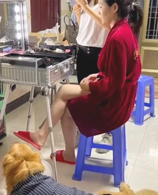 破甲了！辽宁一女子嫁人时，迎亲一瞬间祖父捂着守候8年的狗狗双眼