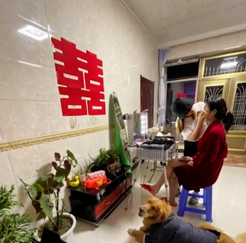 破甲了！辽宁一女子嫁人时，迎亲一瞬间祖父捂着守候8年的狗狗双眼