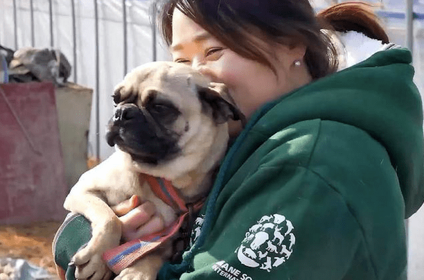 小狗从狗肉场逃走后，没忘掉它的弟兄，巧遇救援人员又重返现场！