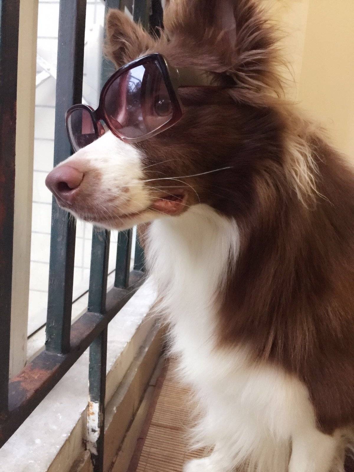 走，跟着大哥混有饭吃