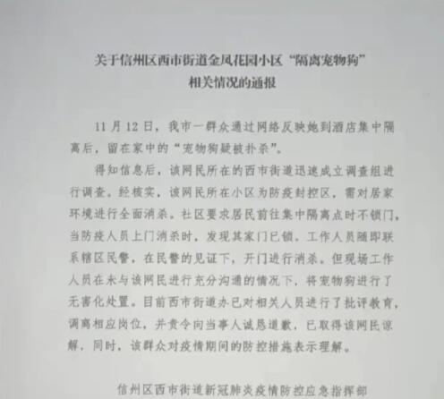 “主人隔离时宠物狗疑被扑杀”，深夜通报！