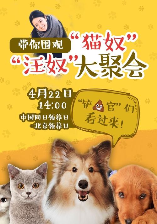 违规养狗会坐牢吗 | 铲屎官们注意了！违规养犬，你的爱犬会“坐牢”