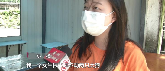 贵阳街边放养大狗不拴绳 闯祸后主人竟这样说