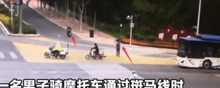宠物狗不栓绳上马路，摩托车主碾压后扬长而去爱找谁赔找谁赔