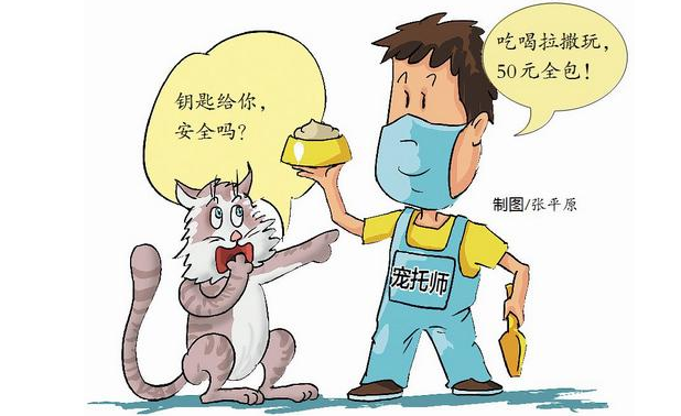 上门帮喂猫代遛狗！职业“宠托师” 您敢托付吗？律师提醒来了