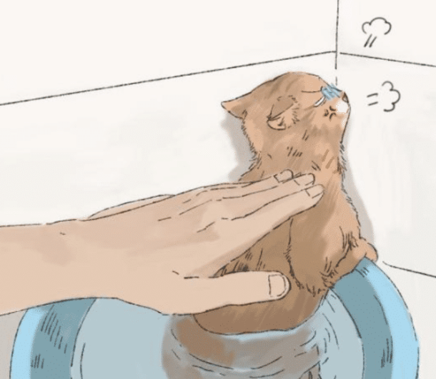 女子给猫咪洗澡，中途出去接了个电话，再回来一看顿时心虚了