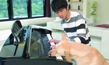 爱犬下半身瘫痪 但光良却对自己的爱犬不离不弃