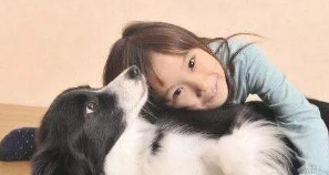 主人怎么让狗子愈来愈信赖？？？
