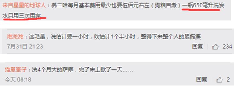 主人宁愿自己淋雨，也要给狗狗穿雨衣，真相让铲屎官们感同身受
