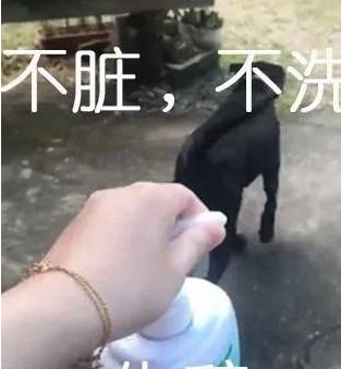 看妈妈取出了沐浴露，狗子微笑秒收：要背井离乡遁入空门一下！