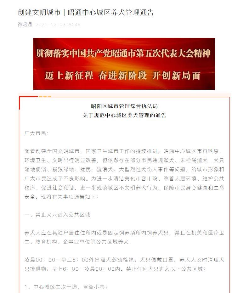 遛狗仅限凌晨，还要给狗戴口罩？云南昭通回应“最严遛狗令”