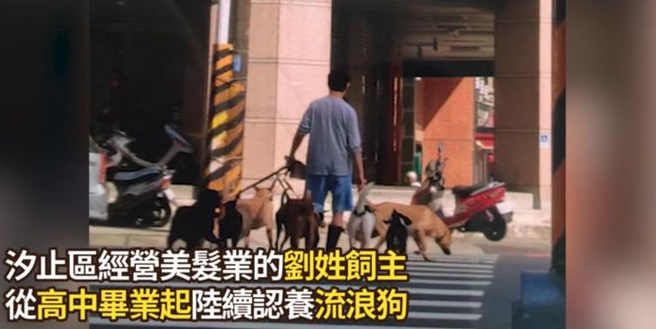 养了33只狗被投诉，可工作人员进屋一看非常惊讶：这也太舒适了吧！