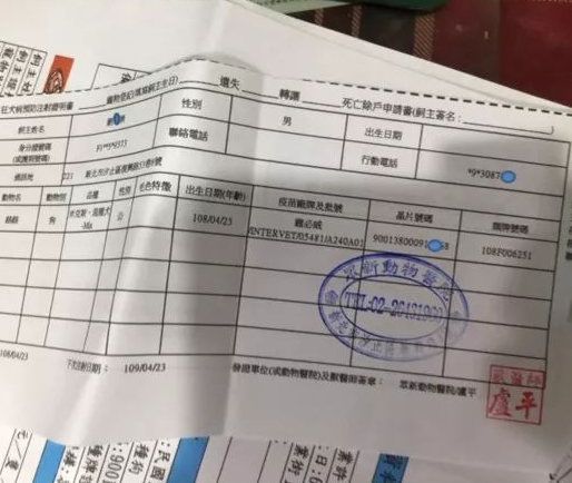 养了33只狗被投诉，可工作人员进屋一看非常惊讶：这也太舒适了吧！