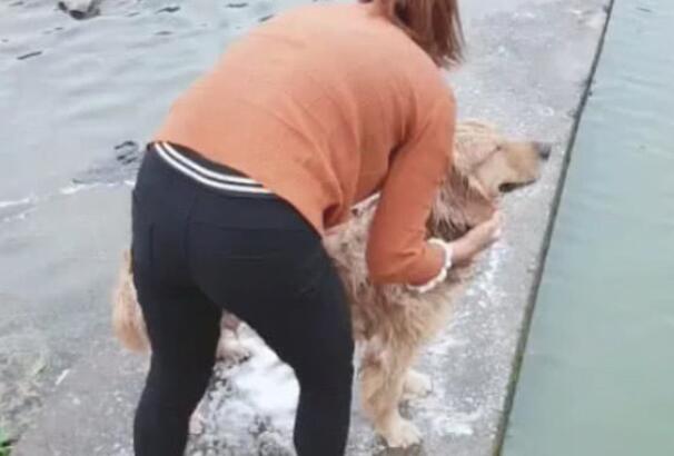 主人家狗狗洗澡，方法简单直接，扔渗水清理整洁