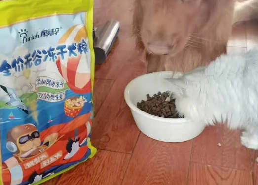 “猫狗粮快递被针管投毒”和“网购零食会被投毒”等传言均不实