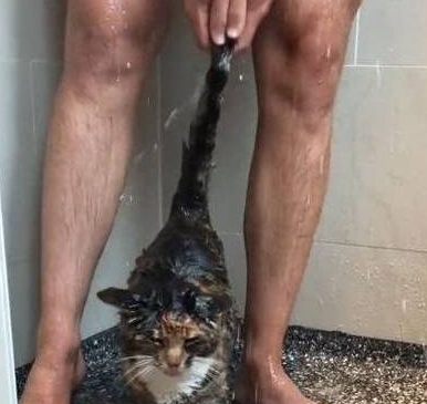 男主人正在洗澡，猫咪就溜进了浴室，网友：猫咪的眼睛往哪看呢？