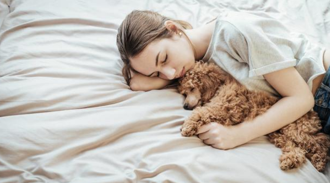 你睡着后，“泰迪犬”这样做，说明没养错狗