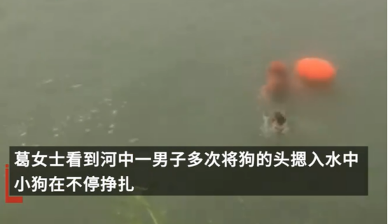 安徽一男子多次将狗闷在河水中挣扎，可恶至极！